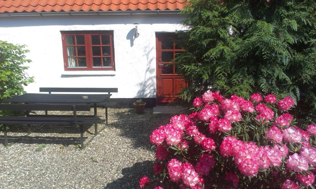 Vranum Guesthouse Viborg Exteriér fotografie