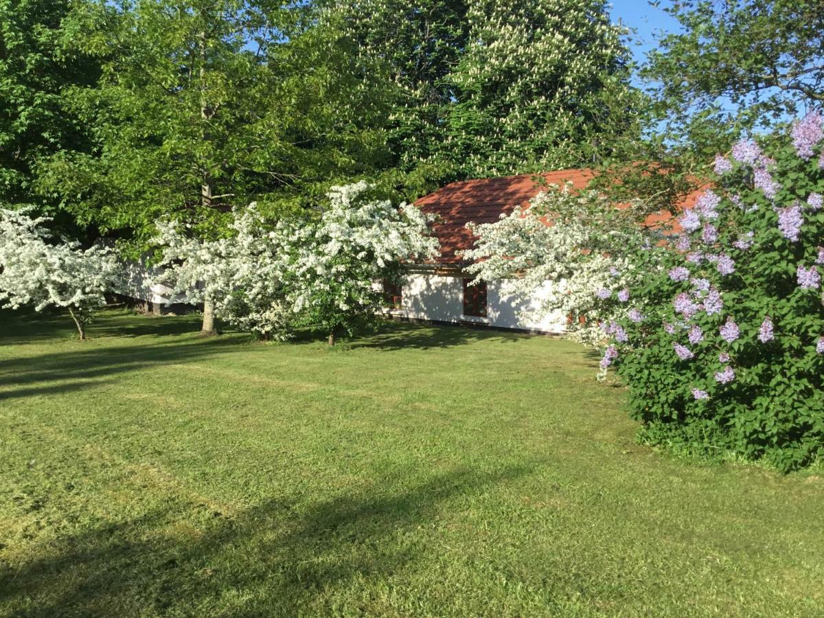 Vranum Guesthouse Viborg Exteriér fotografie